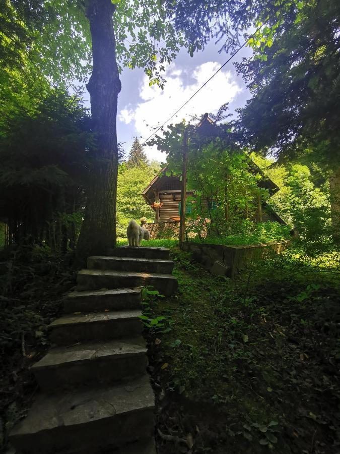 Vila Fani, Kostel - Vacation House Pr' Vili Fani Zewnętrze zdjęcie